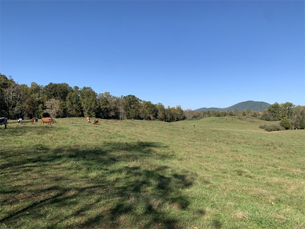 Montgomery view